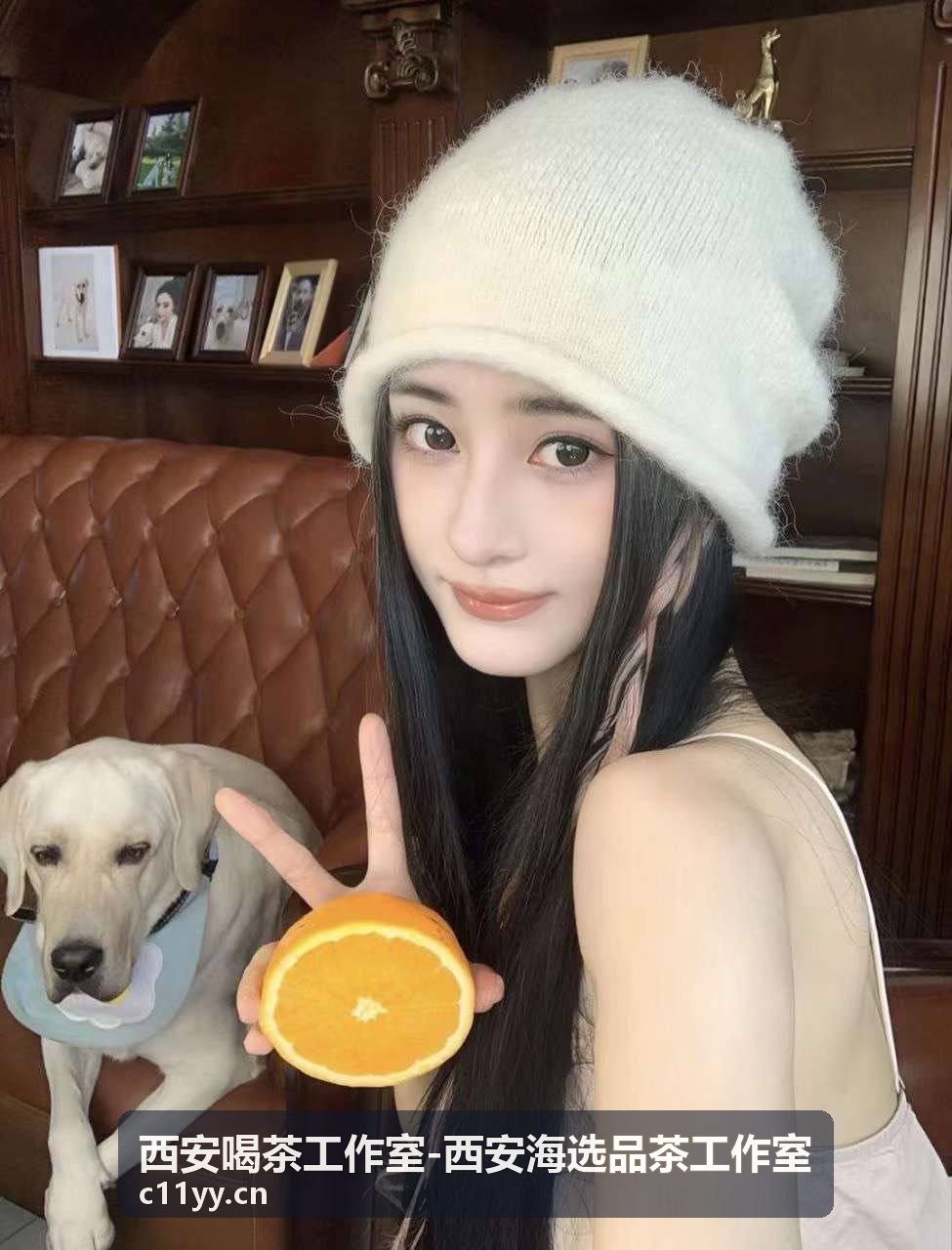 西安喝茶工作室精品茶叶陈列